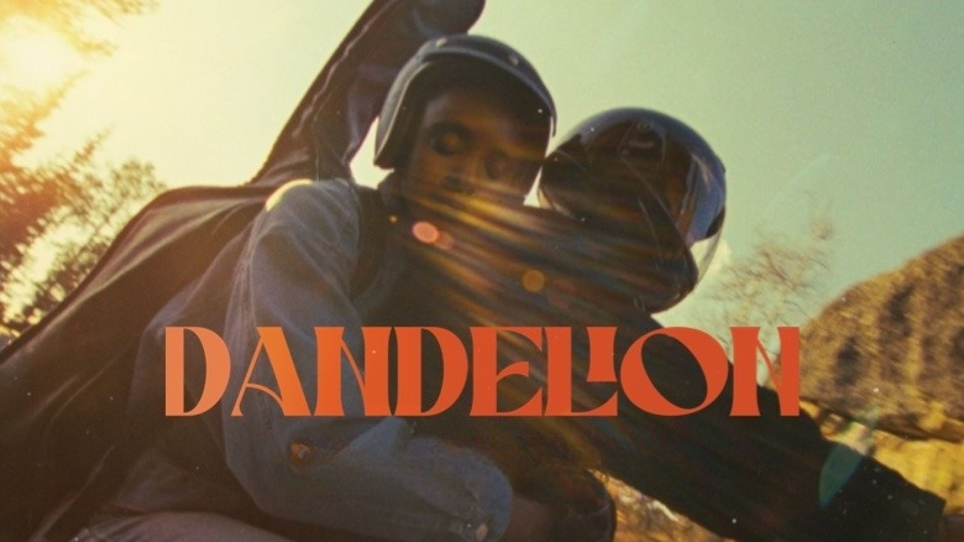 Dandelion (2024) English WEB-DL 1080p